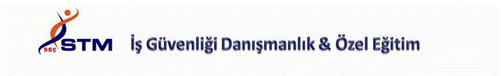 &Idot;&scedil; Kazas&inodot; kader de&gbreve;ildir : (